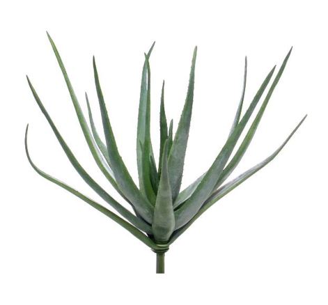 Aloe Vera Kunstpflanze ط50x60 cm